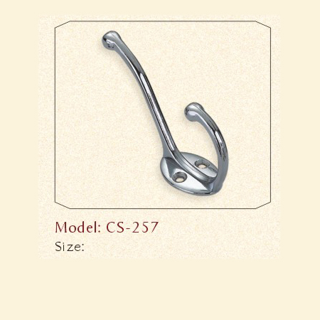 CS-257